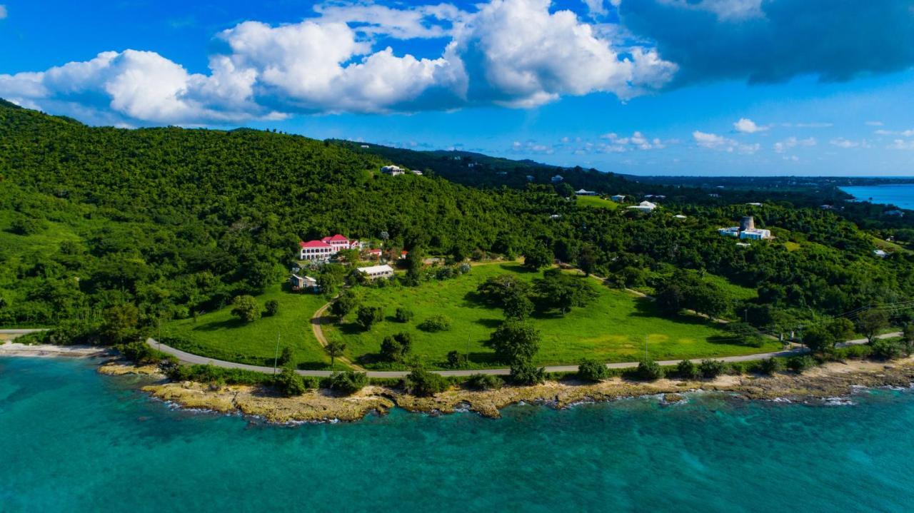 Feather Leaf Inn Frederiksted Ngoại thất bức ảnh