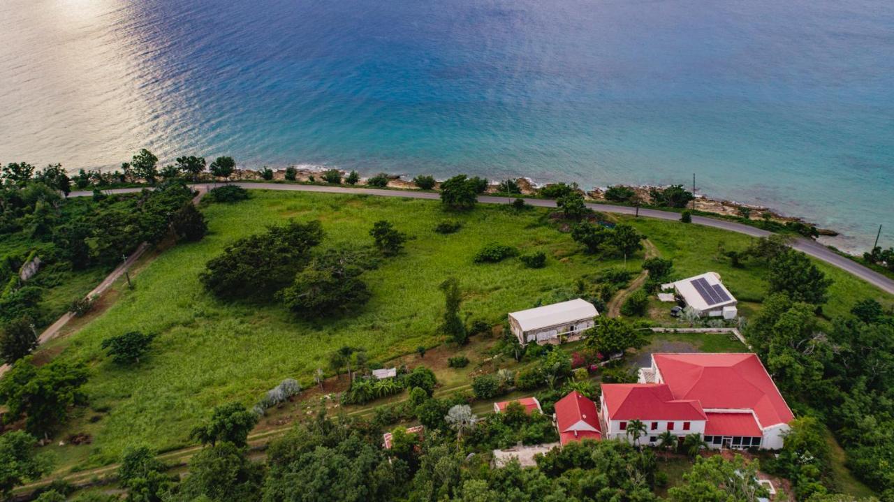 Feather Leaf Inn Frederiksted Ngoại thất bức ảnh
