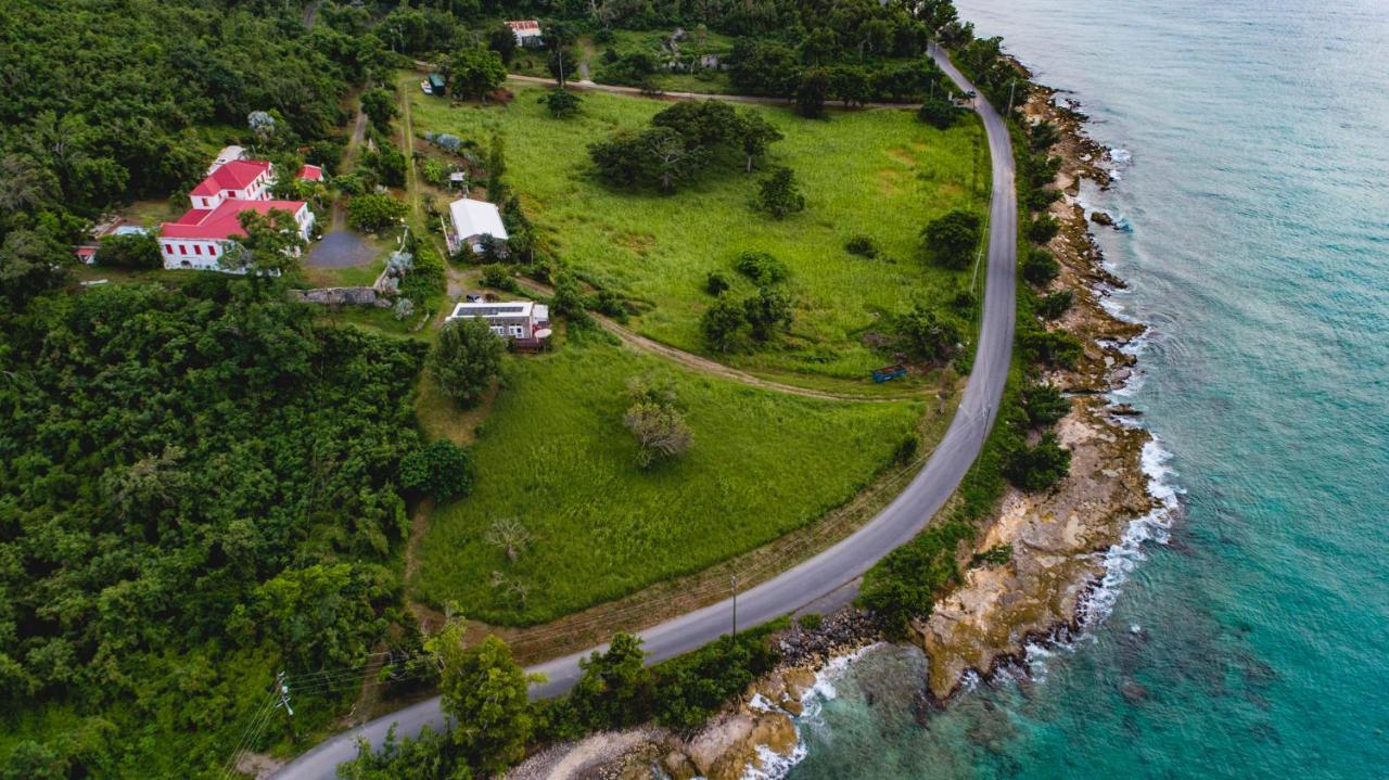 Feather Leaf Inn Frederiksted Ngoại thất bức ảnh